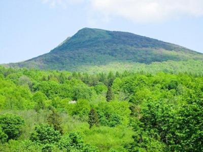 Caloroczne Domki Zacisze Hnatowego Berda W Wetlinie Wetlina Dış mekan fotoğraf