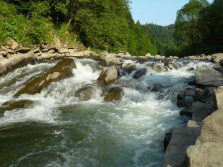 Caloroczne Domki Zacisze Hnatowego Berda W Wetlinie Wetlina Dış mekan fotoğraf