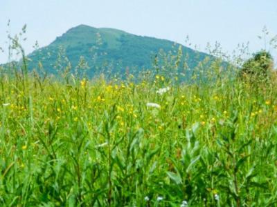 Caloroczne Domki Zacisze Hnatowego Berda W Wetlinie Wetlina Dış mekan fotoğraf